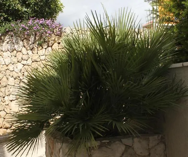 With A Parking Space Cavtat, Dubrovnik - 8986 Appartement