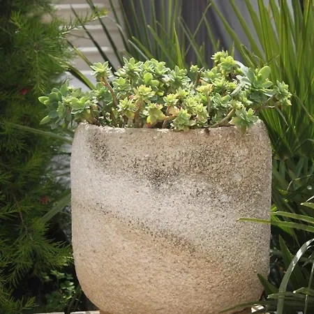 With A Parking Space Cavtat, Dubrovnik - 8986 Apartamento *