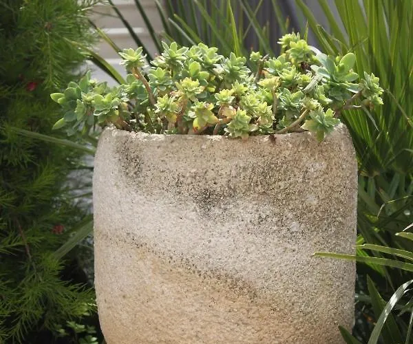 With A Parking Space Cavtat, Dubrovnik - 8986 Appartamento *