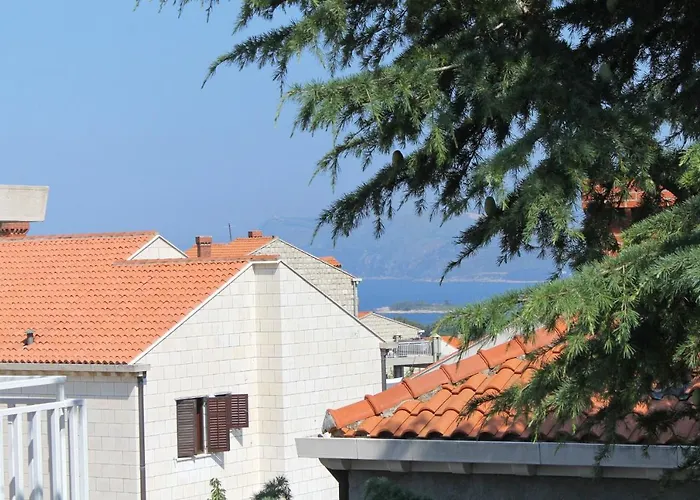 With A Parking Space Cavtat, Dubrovnik - 8986